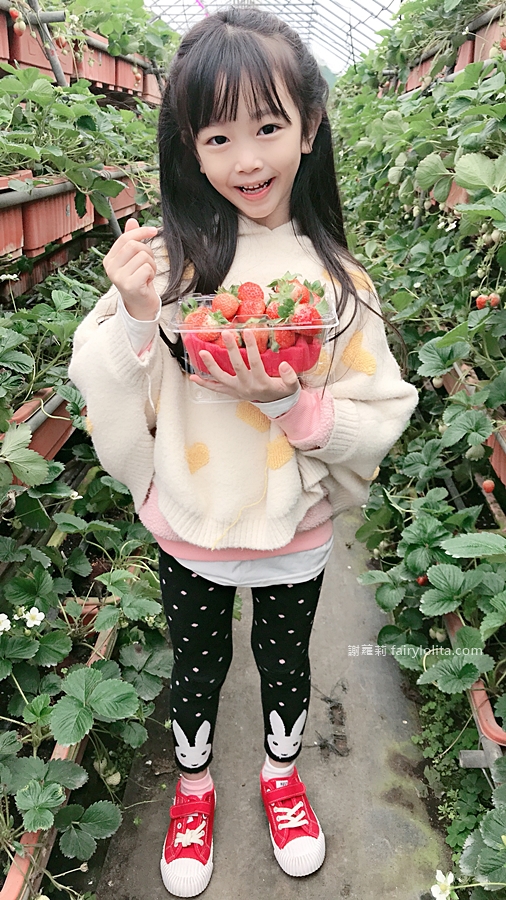 內湖草莓季開跑囉！【內湖草莓園49號】採草莓+親子體驗，diy草莓果醬、草莓雞蛋仔！ @蹦啾♥謝蘿莉 La vie heureuse