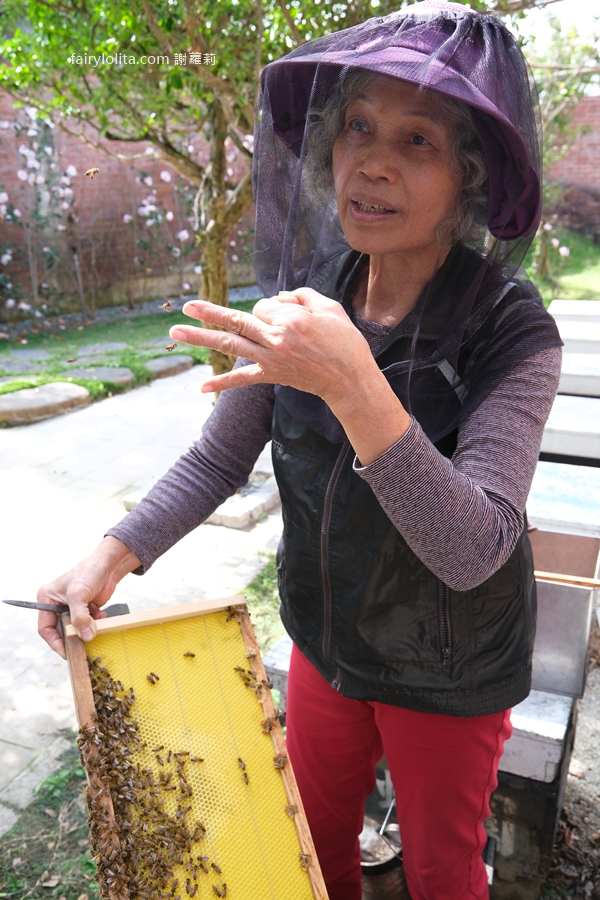 愛蜂園。新竹親子景點推薦 150元暢遊養蜂園，免費送蜂蜜再吃精緻蜂蜜下午茶！ @蹦啾♥謝蘿莉 La vie heureuse