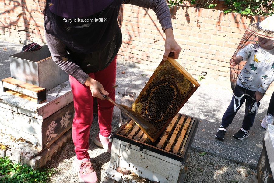 愛蜂園。新竹親子景點推薦 150元暢遊養蜂園，免費送蜂蜜再吃精緻蜂蜜下午茶！ @蹦啾♥謝蘿莉 La vie heureuse