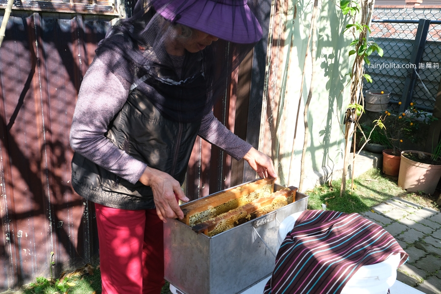 愛蜂園。新竹親子景點推薦 150元暢遊養蜂園，免費送蜂蜜再吃精緻蜂蜜下午茶！ @蹦啾♥謝蘿莉 La vie heureuse