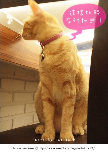 【食記】貓咪先生的朋友～夢幻日系的草莓鬆餅 @蹦啾♥謝蘿莉 La vie heureuse